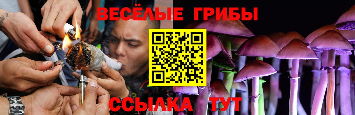Полысаево  Галлюциногенные грибы ЛСД  Галлюциногенные грибы мицелий  Вход с VPN 