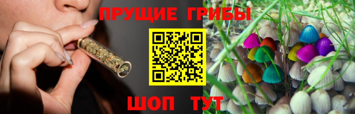 Псилоцибиновые грибы ЛСД Полысаево